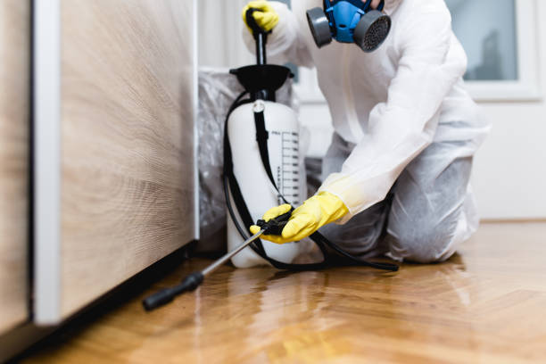  Jamaica Beach, TX Pest Control Pros