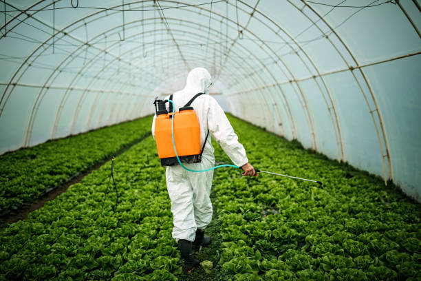 Best Best Pest Control Companies  in Jamaica Beach, TX